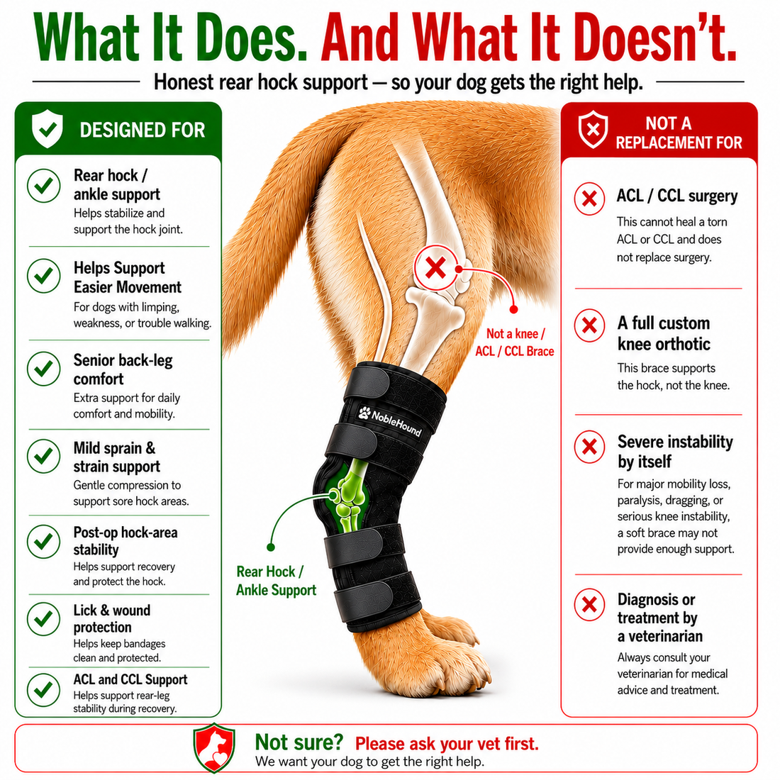 Dog rear-leg diagram comparing hock support with knee and ACL or CCL support