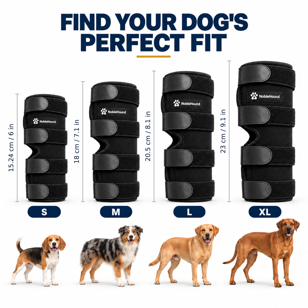 NobleHound brace heights shown side by side in Small, Medium, Large and X-Large. Illustrative dogs do not determine size.