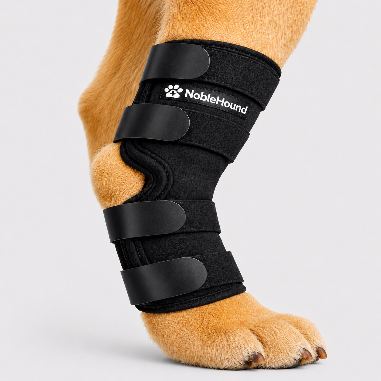 NobleHound adjustable dog hock brace fitted around a dog's rear hock and lower back leg